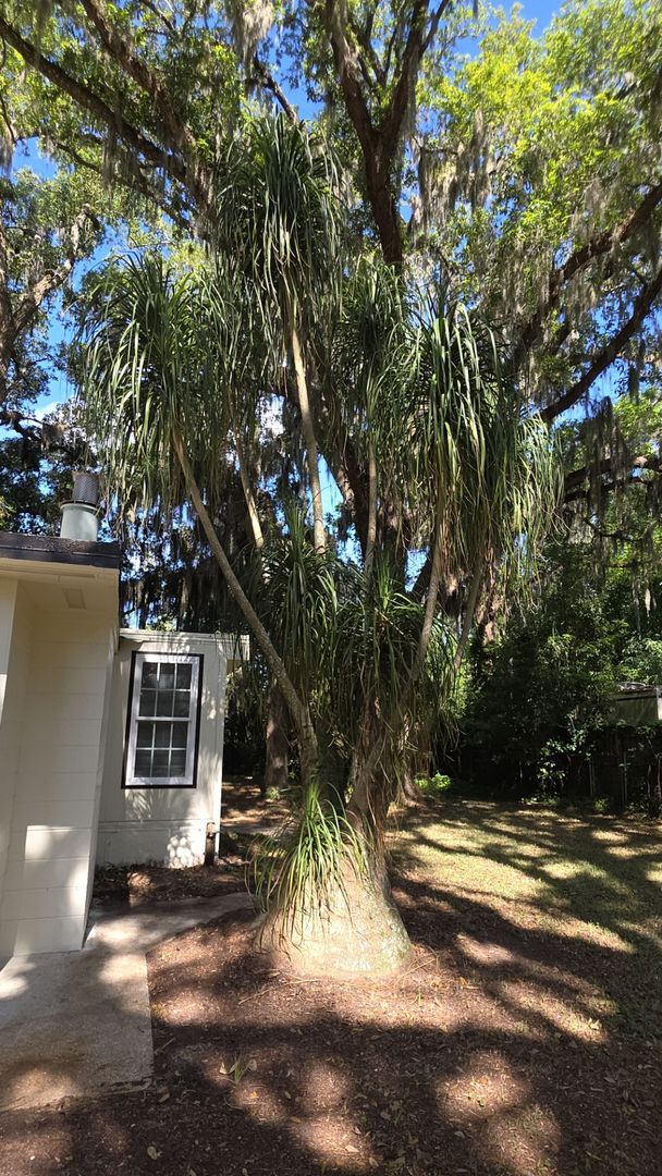 Building Photo - Quaint 3 Bedroom, one and a half bath home close to downtown St Augustine off SR 16