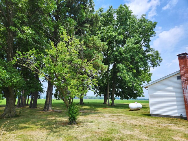 Building Photo - 780 County Road 1800 N