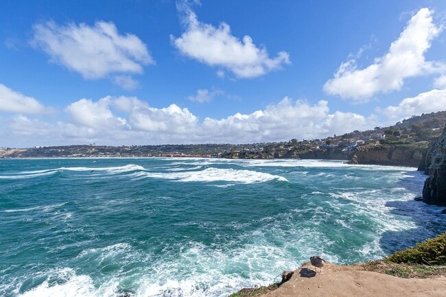 Building Photo - Charming comfy Studio in La Jolla Village!