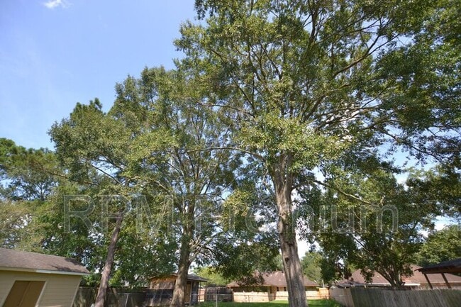 Building Photo - 3552 Platt Dr