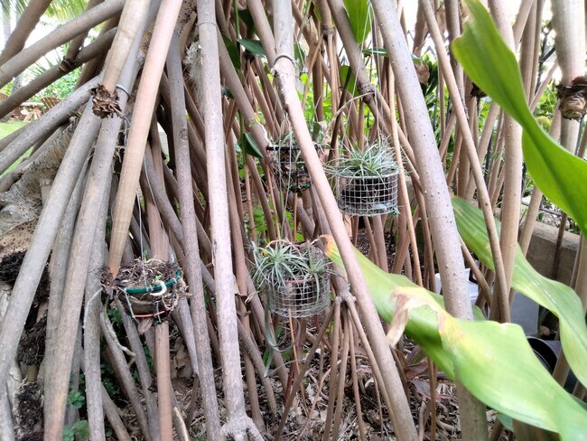 Gardens 10 - 300 Wai Nani Way