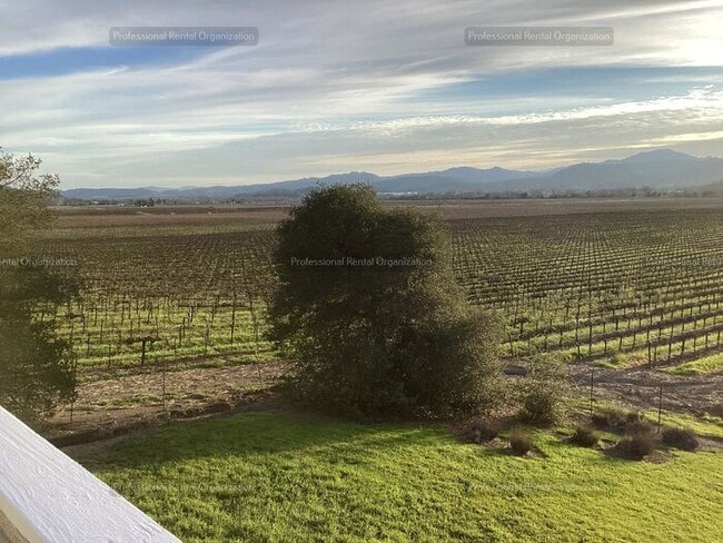 Building Photo - Upper Carriage house Flat with deck & expansive Vineyard and Sunset views