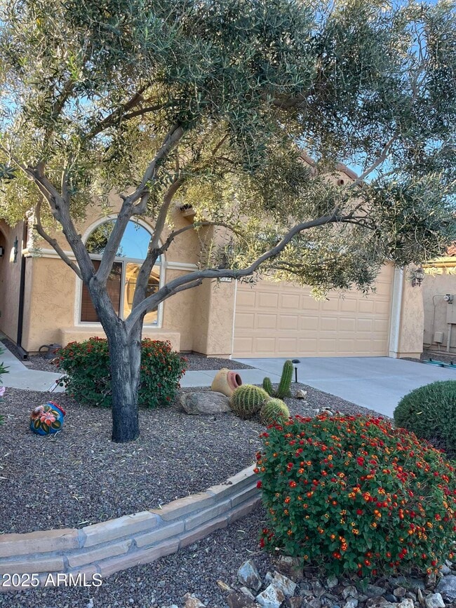 Building Photo - 26197 W Vista N Dr