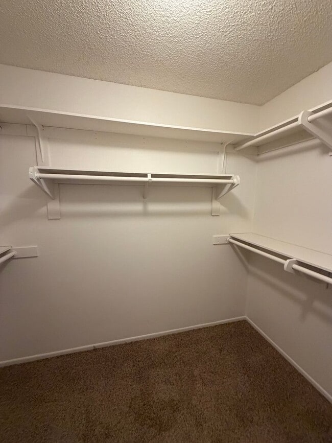 Building Photo - Single story 3 bed, 2 bath home with yard