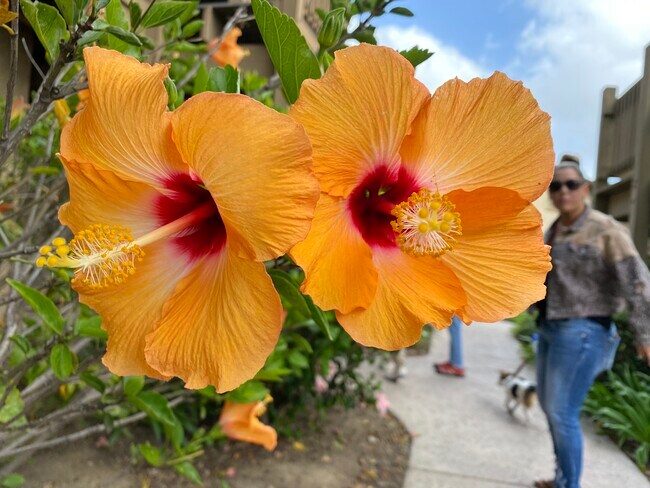 Building Photo - 3949 8th Ave