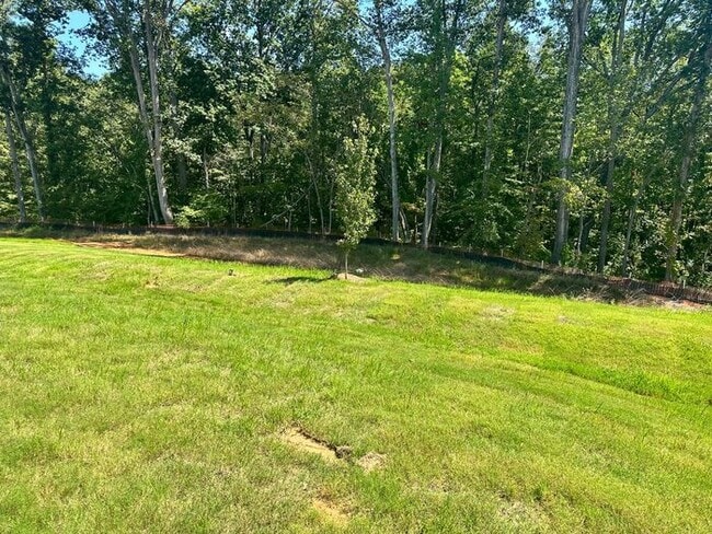 Building Photo - Gourgeous Brand New 4 bedroom Home near Lake Norman