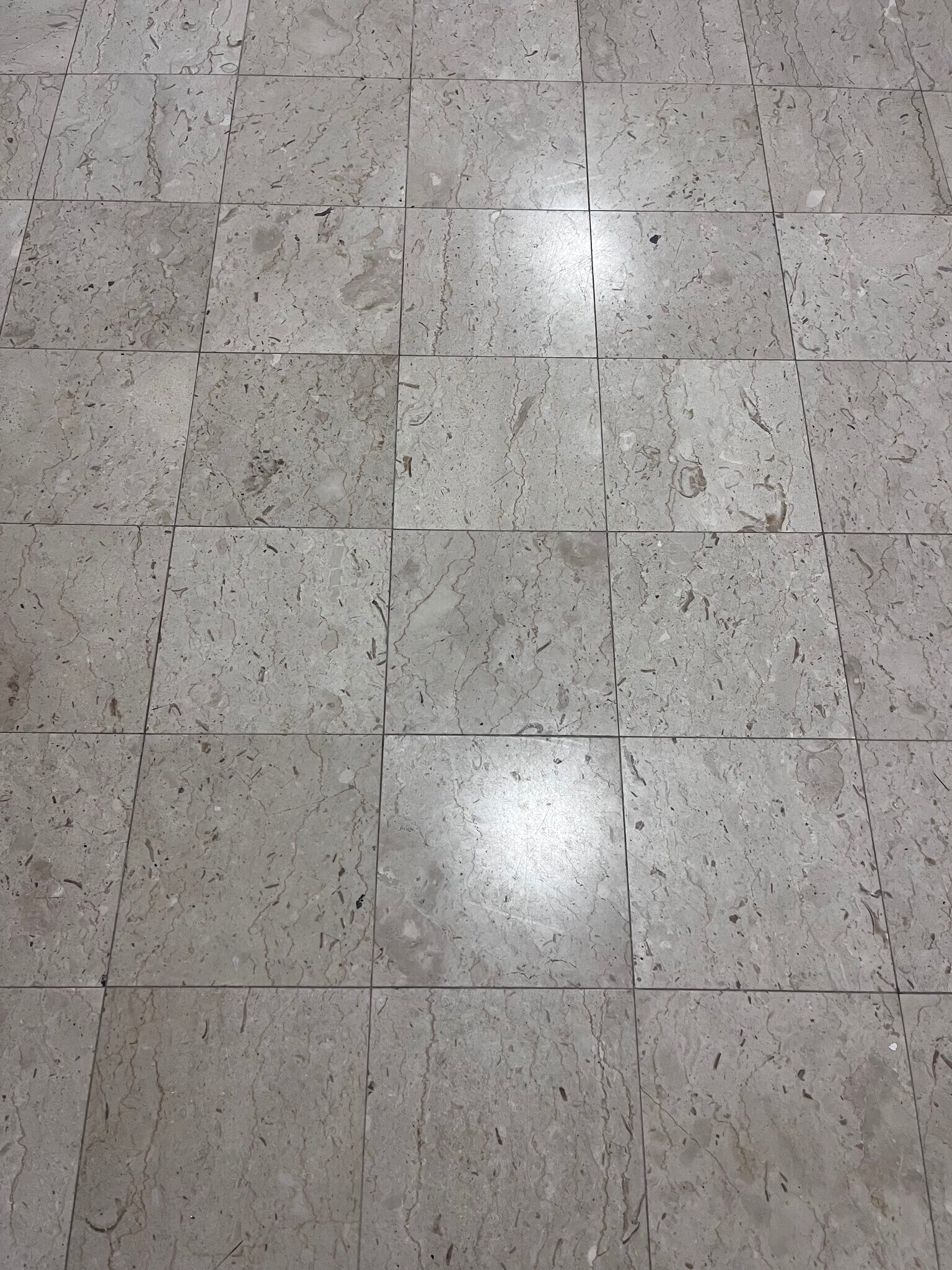 italian marble throughout living room space - 239 Kingston Ave