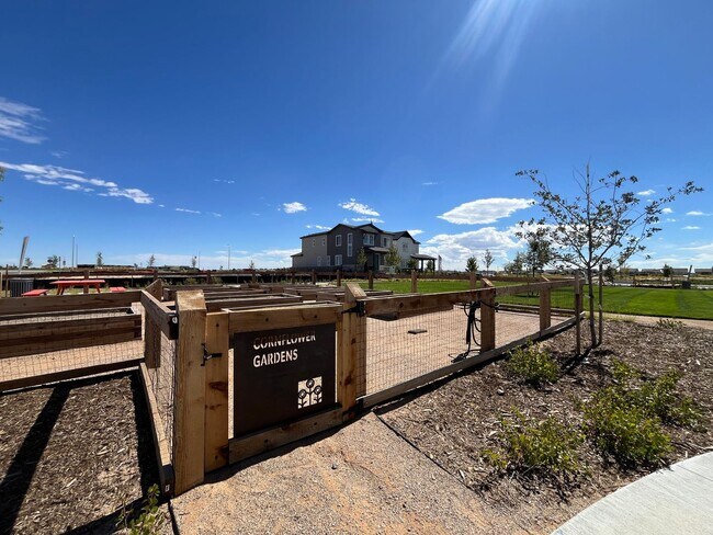 Building Photo - BEAUTIFUL NEW BUILD - 3 bed 2.5 bath w/ La...