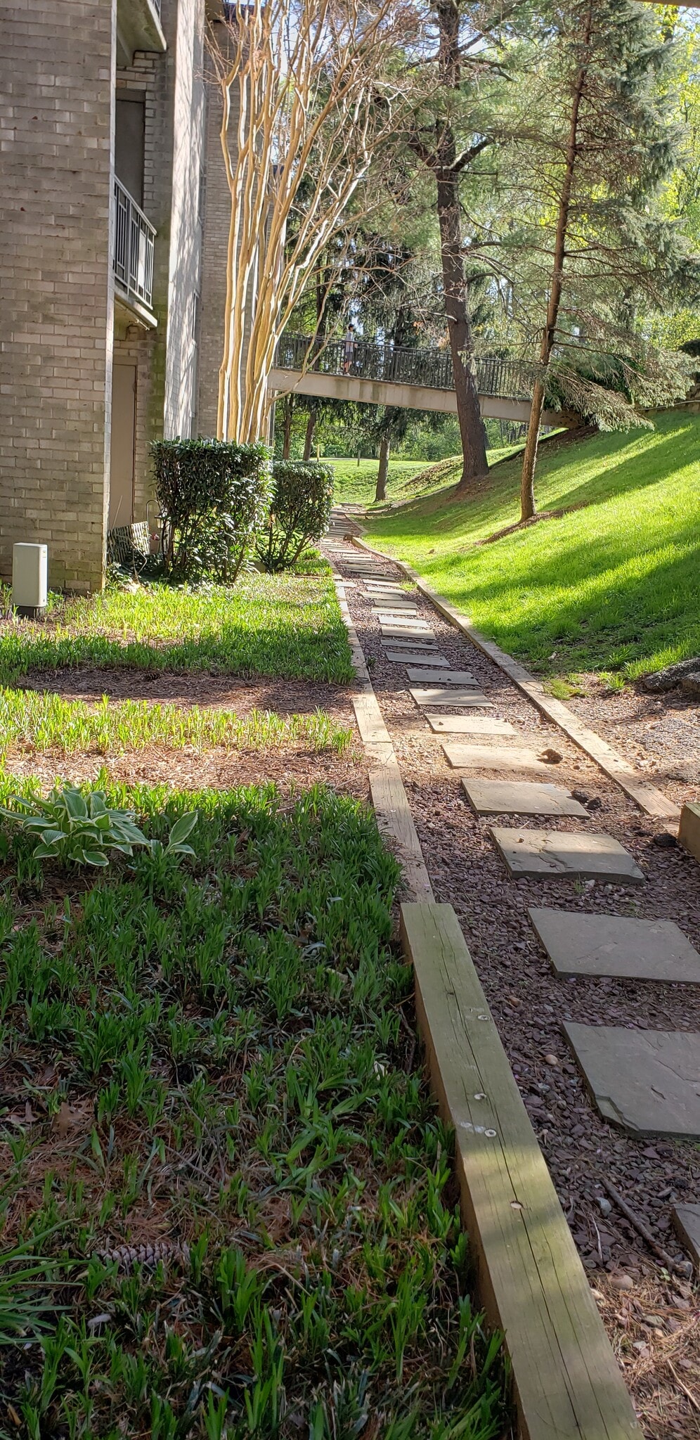 Walk path to the street - 12203 Braxfield Ct