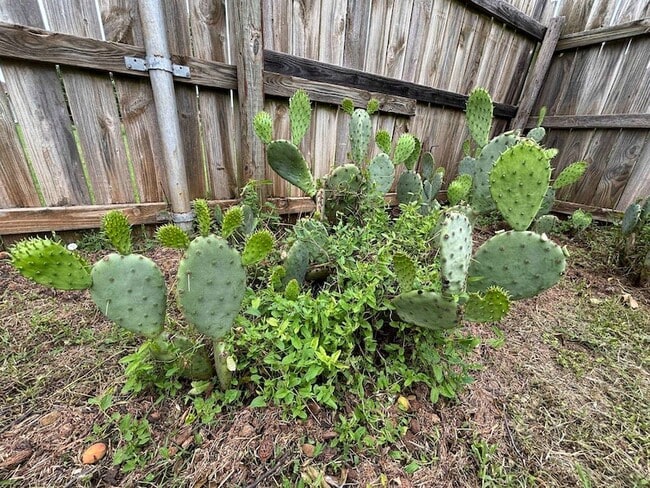 Building Photo - 1417 Matthew Dr