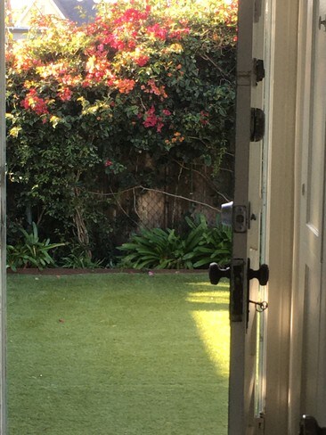 Viee - 1265 Carmona Ave