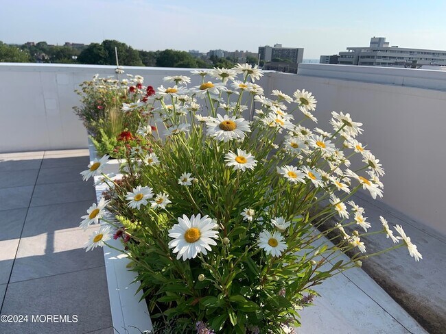 Building Photo - 57-61 Brighton Avenue Unit 303