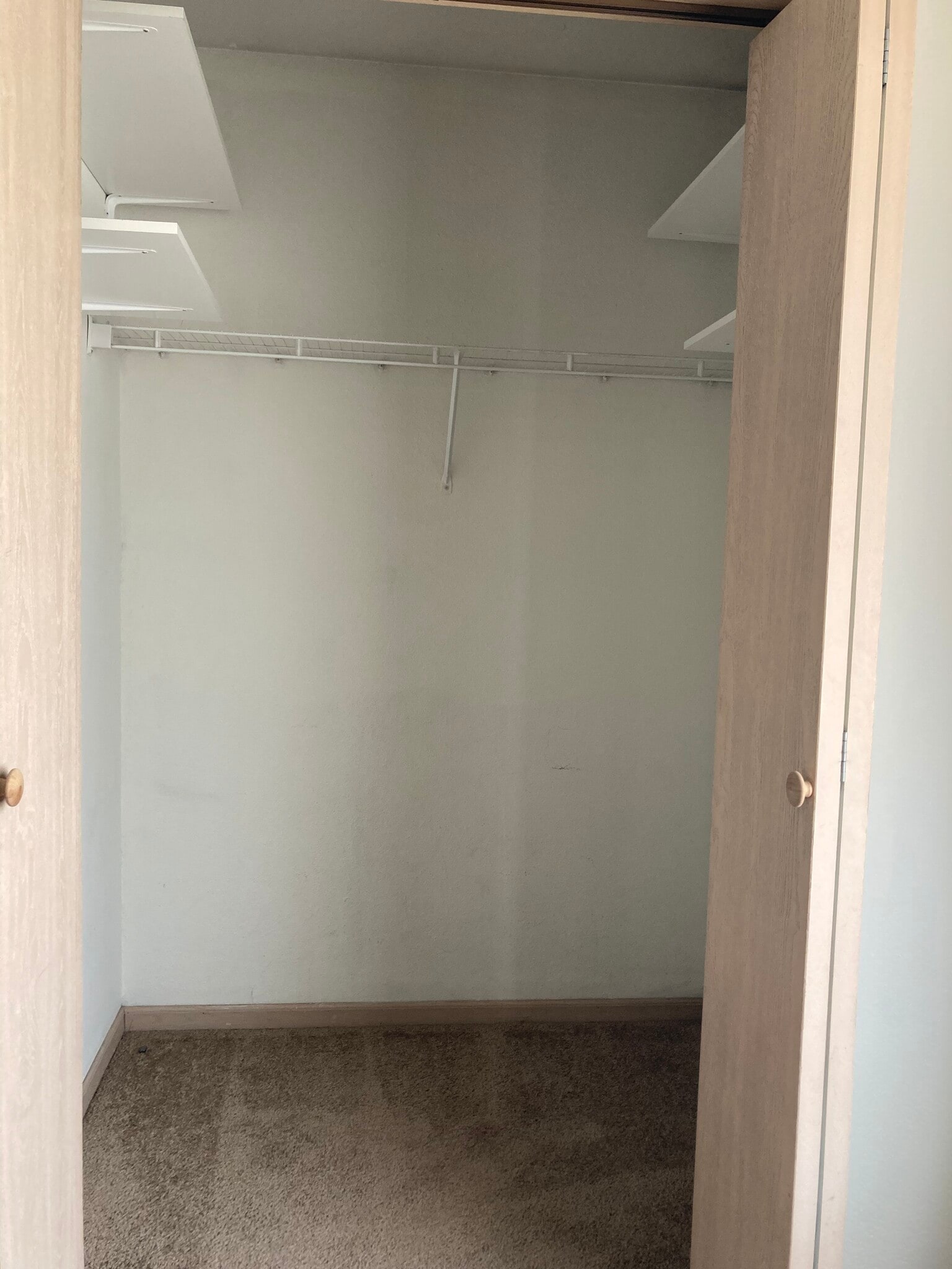 Building Photo - 1309 Toulouse St