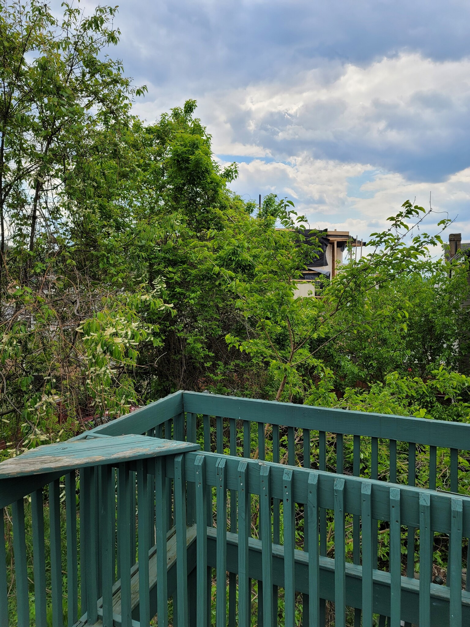 View from the deck - 3932 Howley St