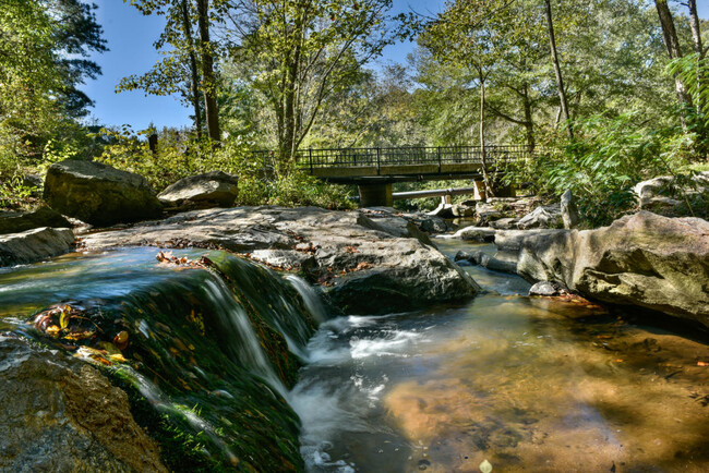 Adjacent to Ben Burton Park with trails, picnic shelter, fields, and boat ramp. Pet friendly. - 600 Mitchell Bridge Rd