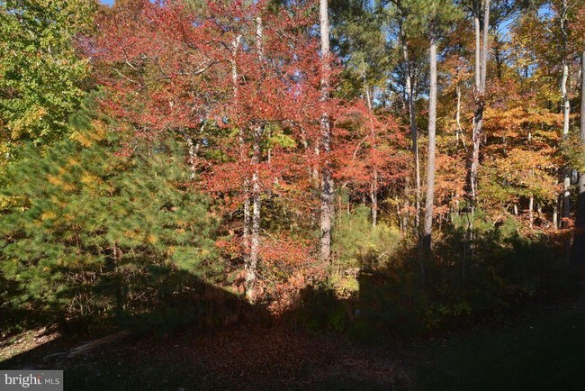 Building Photo - 11958 W War Dancer Ln