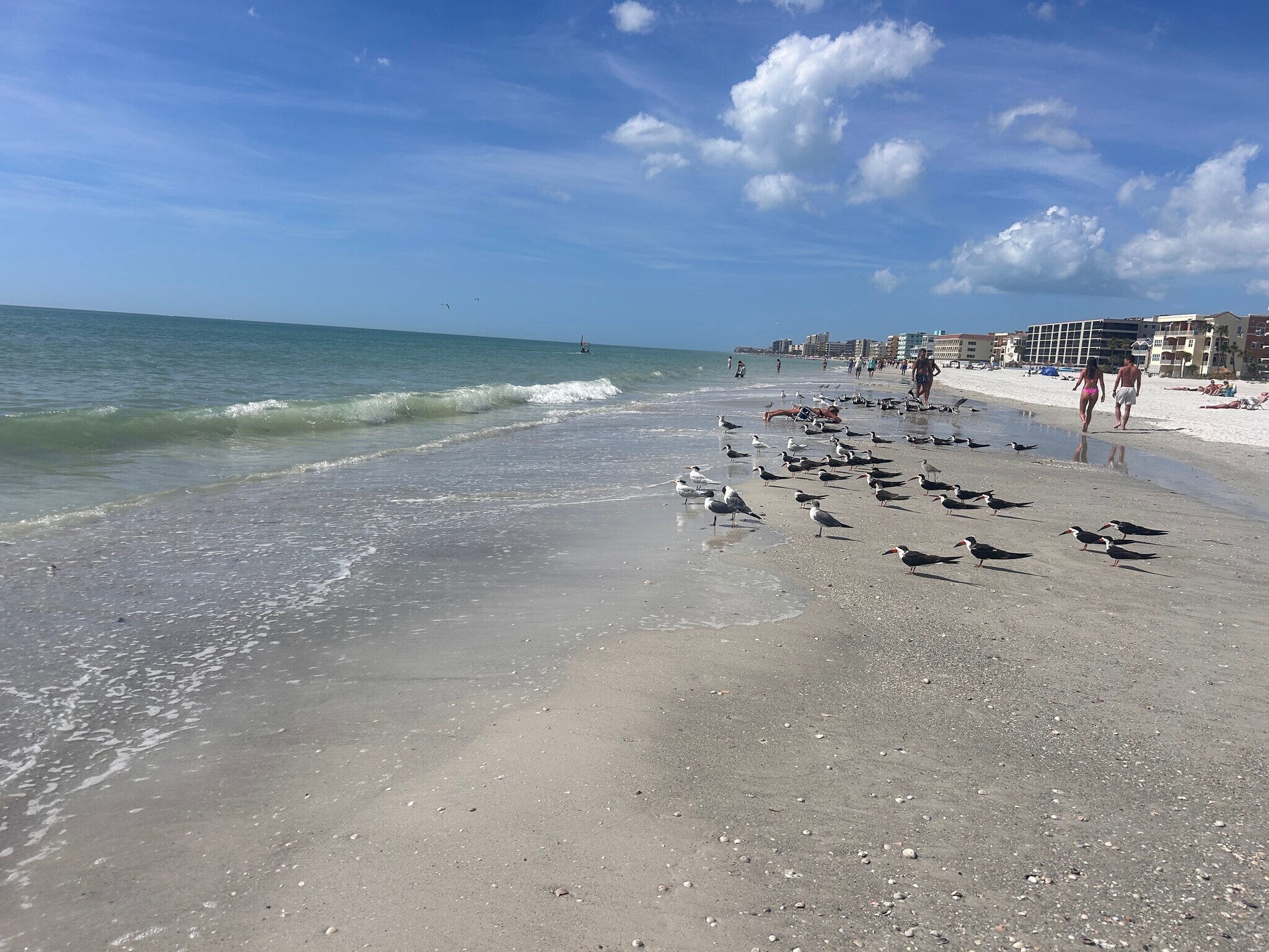 Building Photo - 13100 Boca Ciega Ave