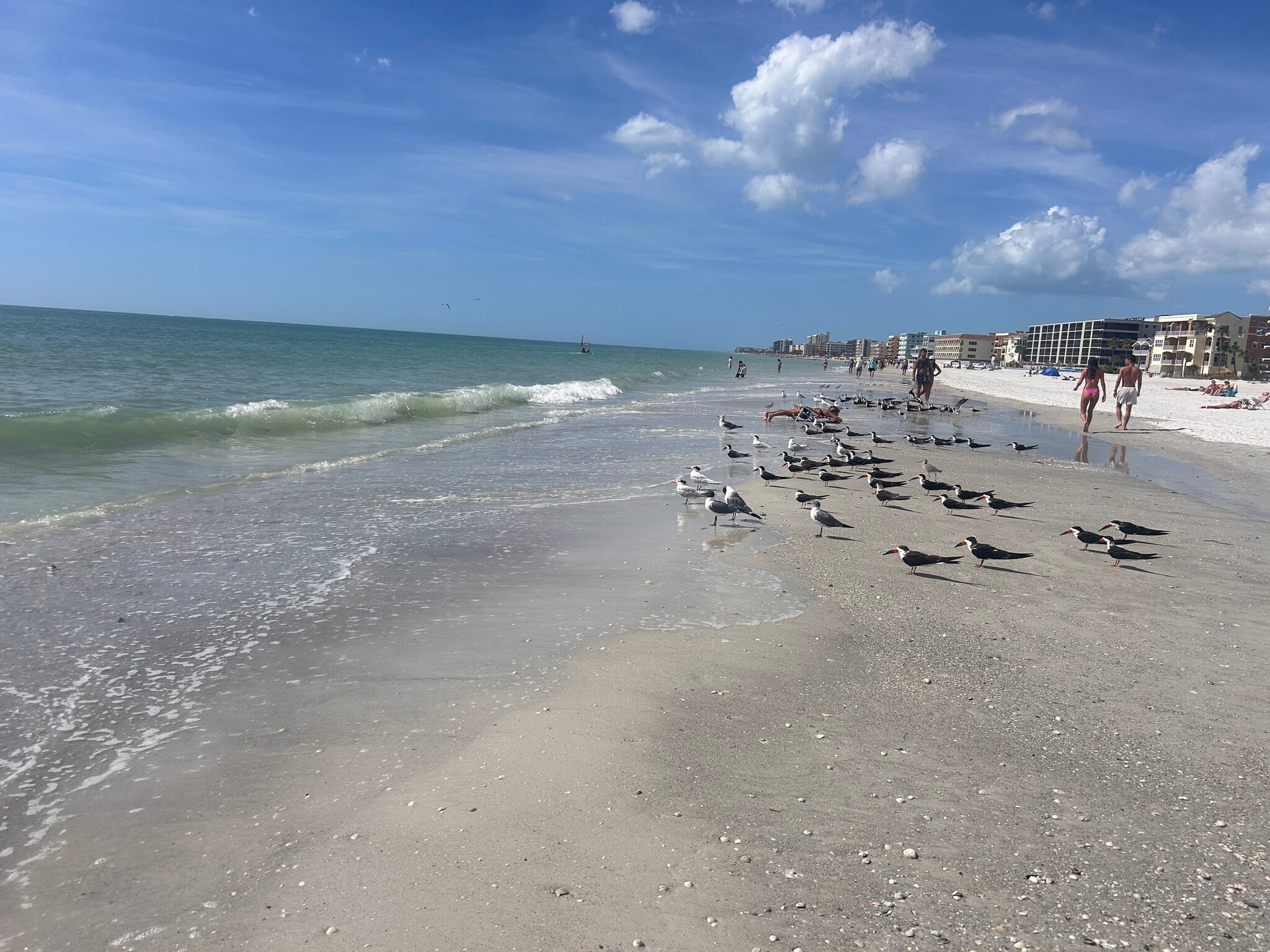 Madeira Beach - 13100 Boca Ciega Ave