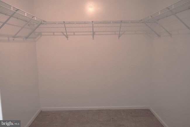 Building Photo - 8819 Blue Royale Ln