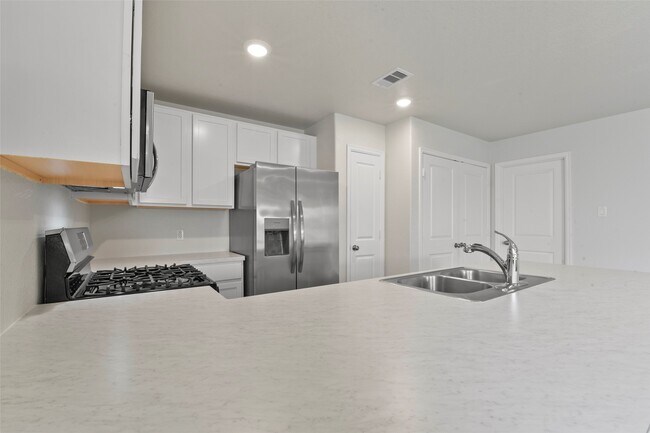 Building Photo - 27027 Euphonia Grn Ln
