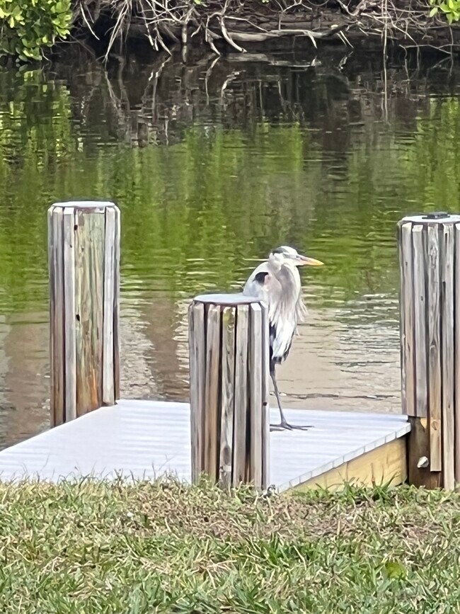 Building Photo - 4834 Bethel Creek Dr