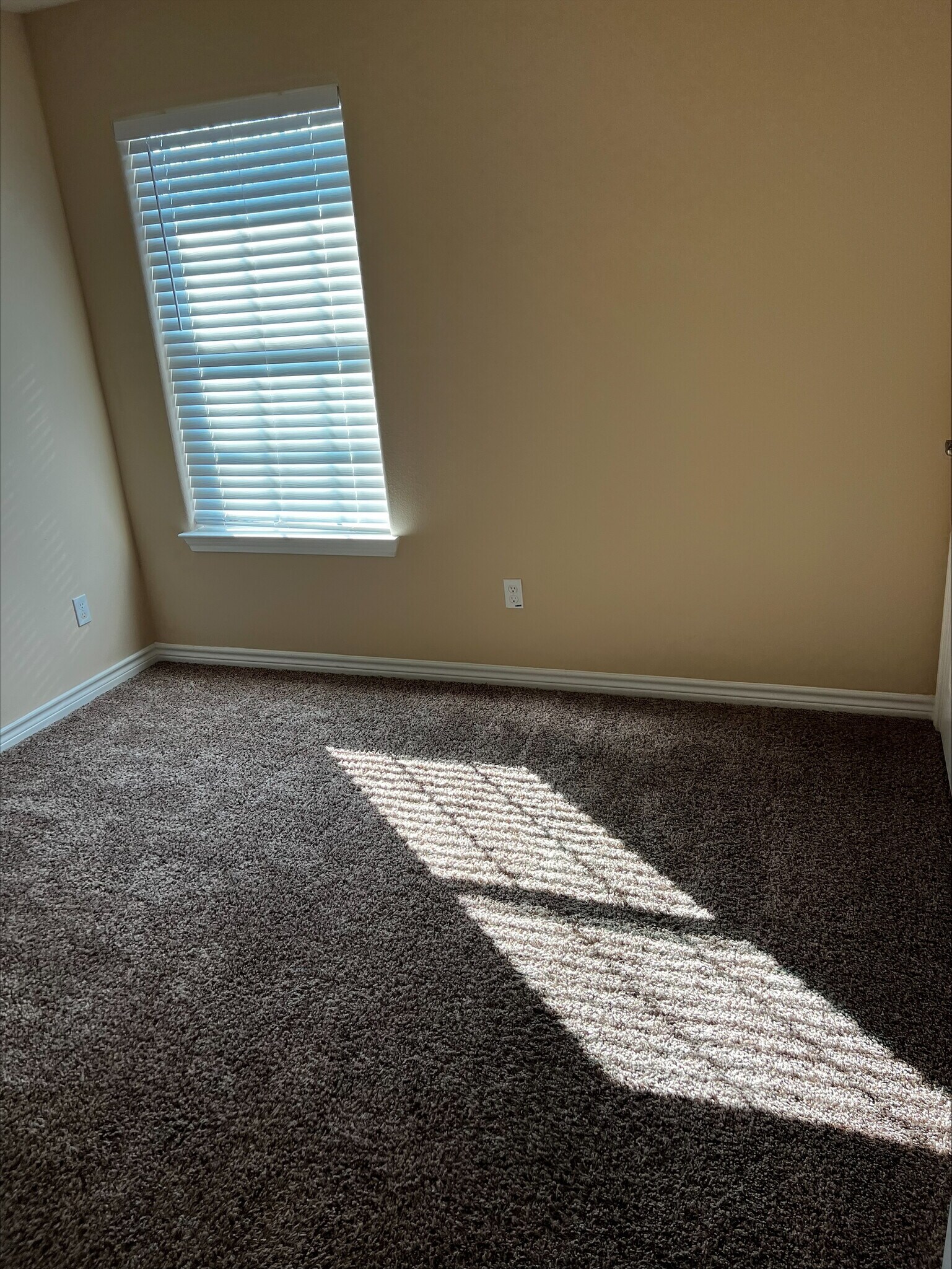 Building Photo - 2610 Saint Helena St