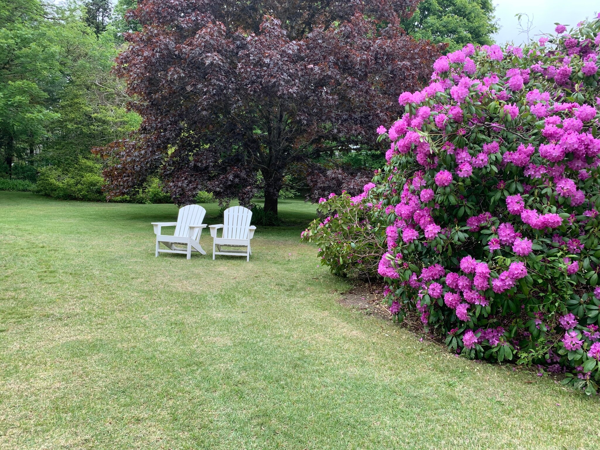 Beautiful 1 Acre Lot - 590 Craigville Beach Rd
