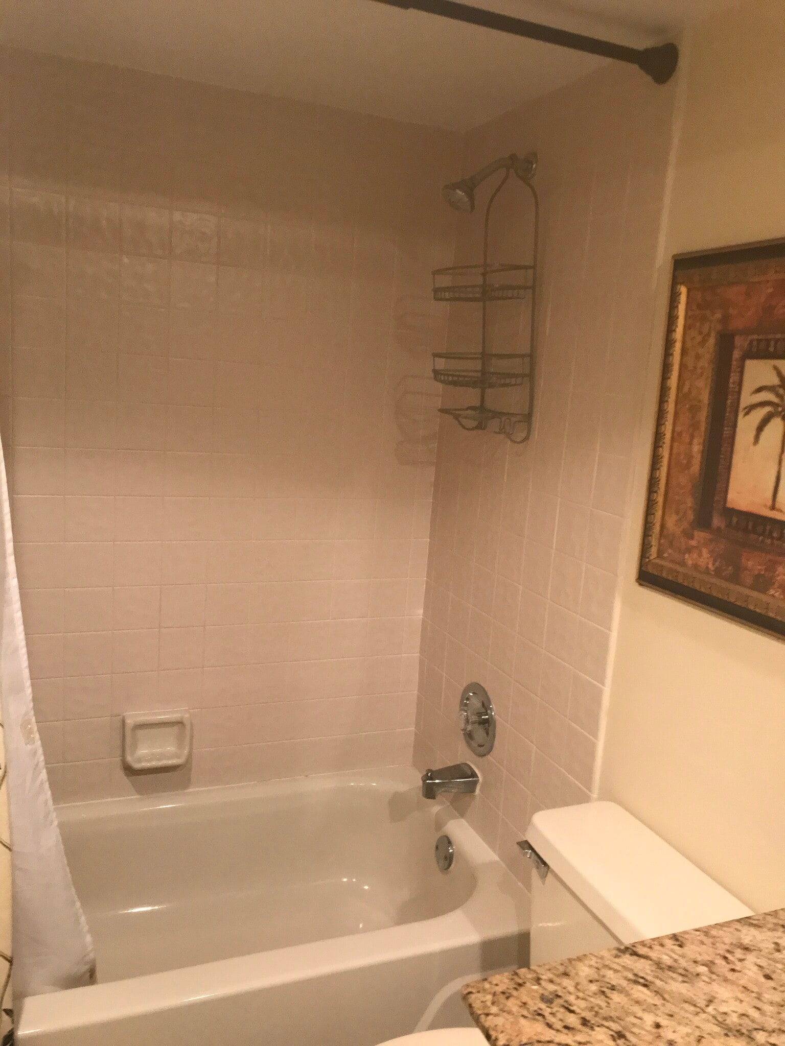 2nd bath tub shower - 225 Deer Creek Blvd