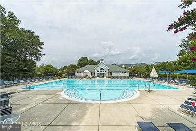 Building Photo - 805 Thicket Ct