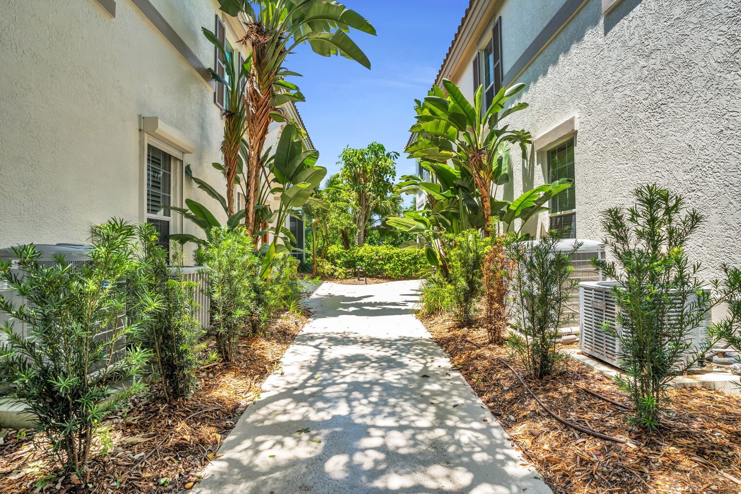 Building Photo - 161 Colonade Cir