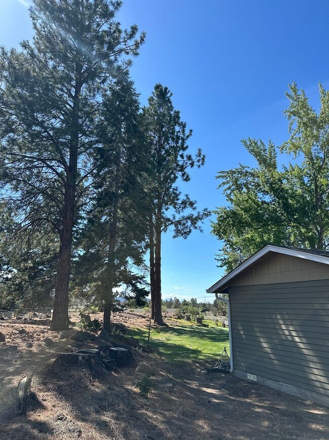 Building Photo - 3 Bed | 2 Bath | 1.17 Acres | Single-Level Home | Mountain Views