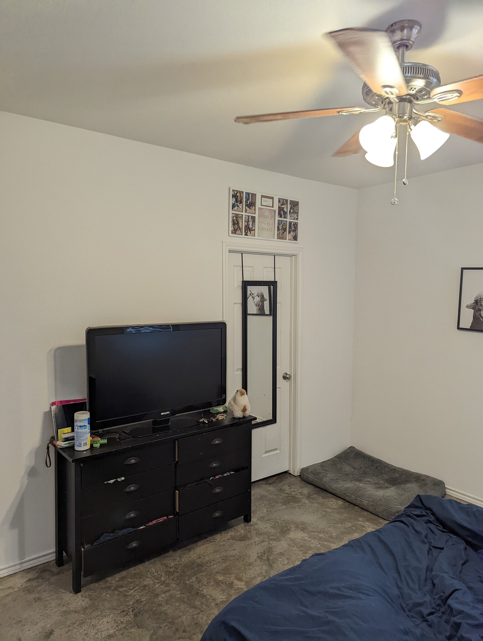 Building Photo - 802 Hallie Cv