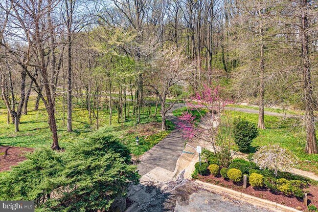 Building Photo - 4838 Drummond Ave