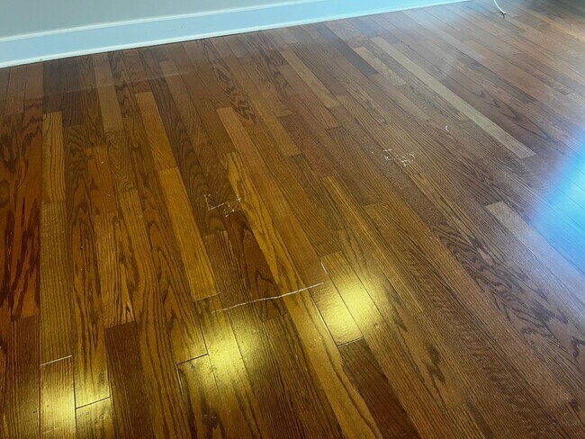 Building Photo - 1 Bed, 1 Bath at Carolina Walk - Steps from Williams Brice Stadium!