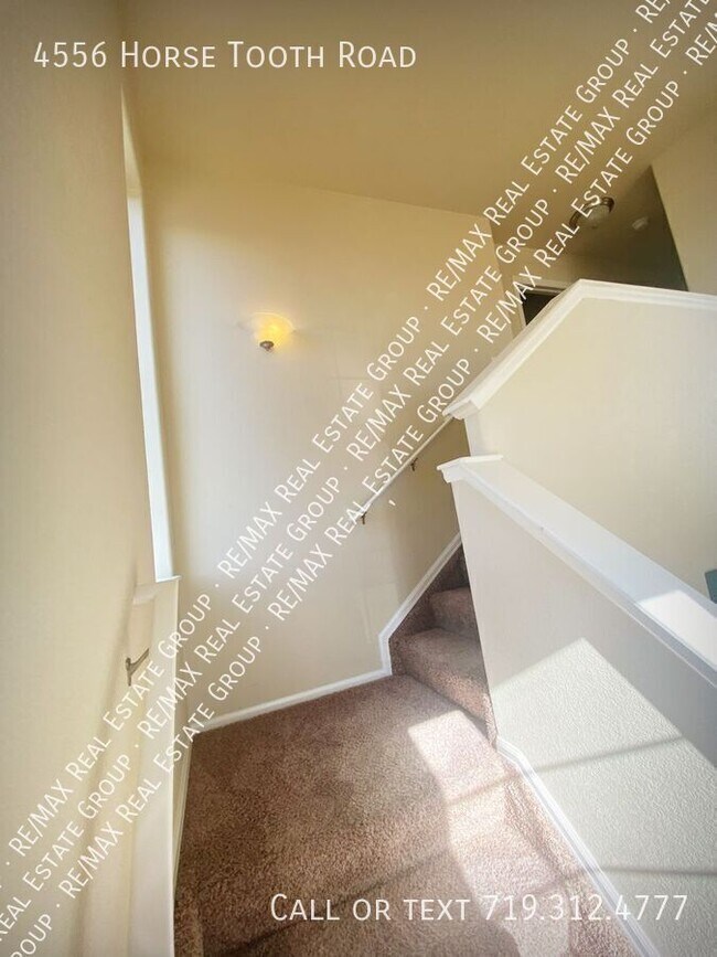 Building Photo - 4556 Horse Tooth Rd