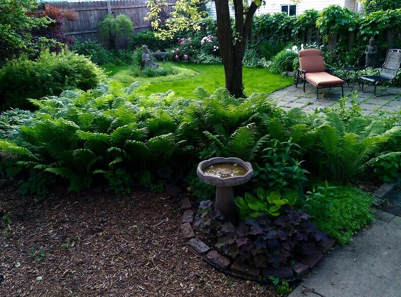 Perennial Garden - 2422 N Drake Ave