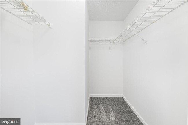 Building Photo - 1542 St Lawrence Ct