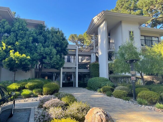 Building Photo - Forest Views With Peeks Of The Ocean From ...