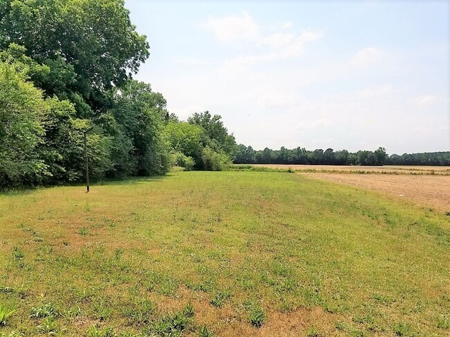 Building Photo - 142 Booker St