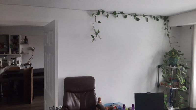 Building Photo - 25 Homer Ave