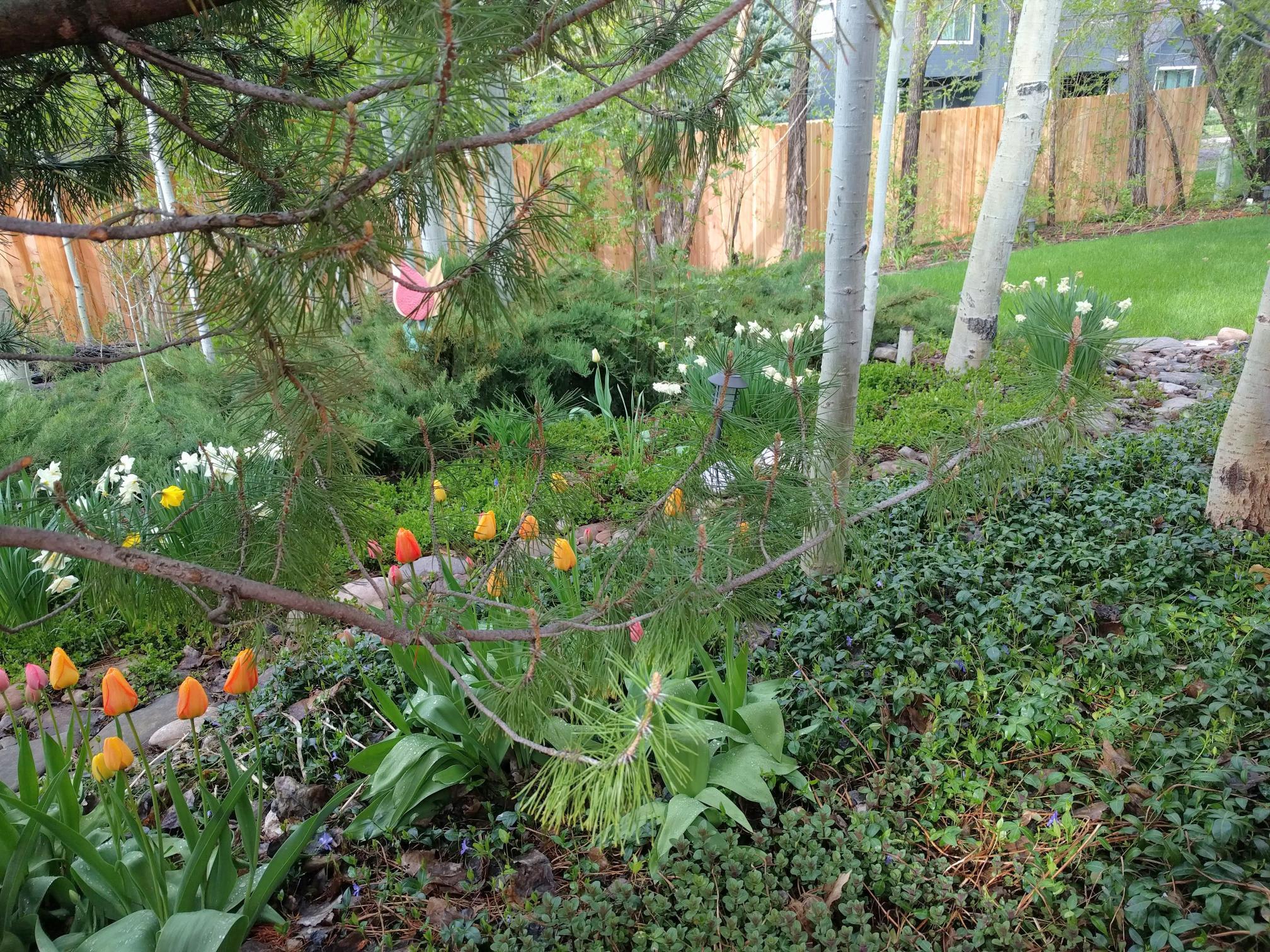 Building Photo - 1468 Willow Loop