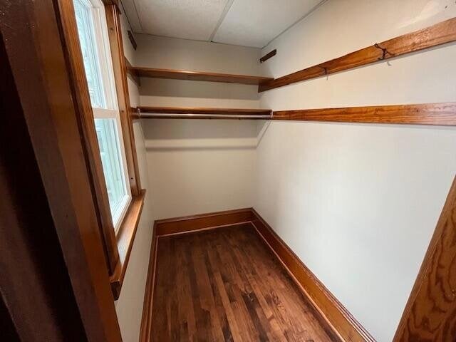 Building Photo - 99 Robert St