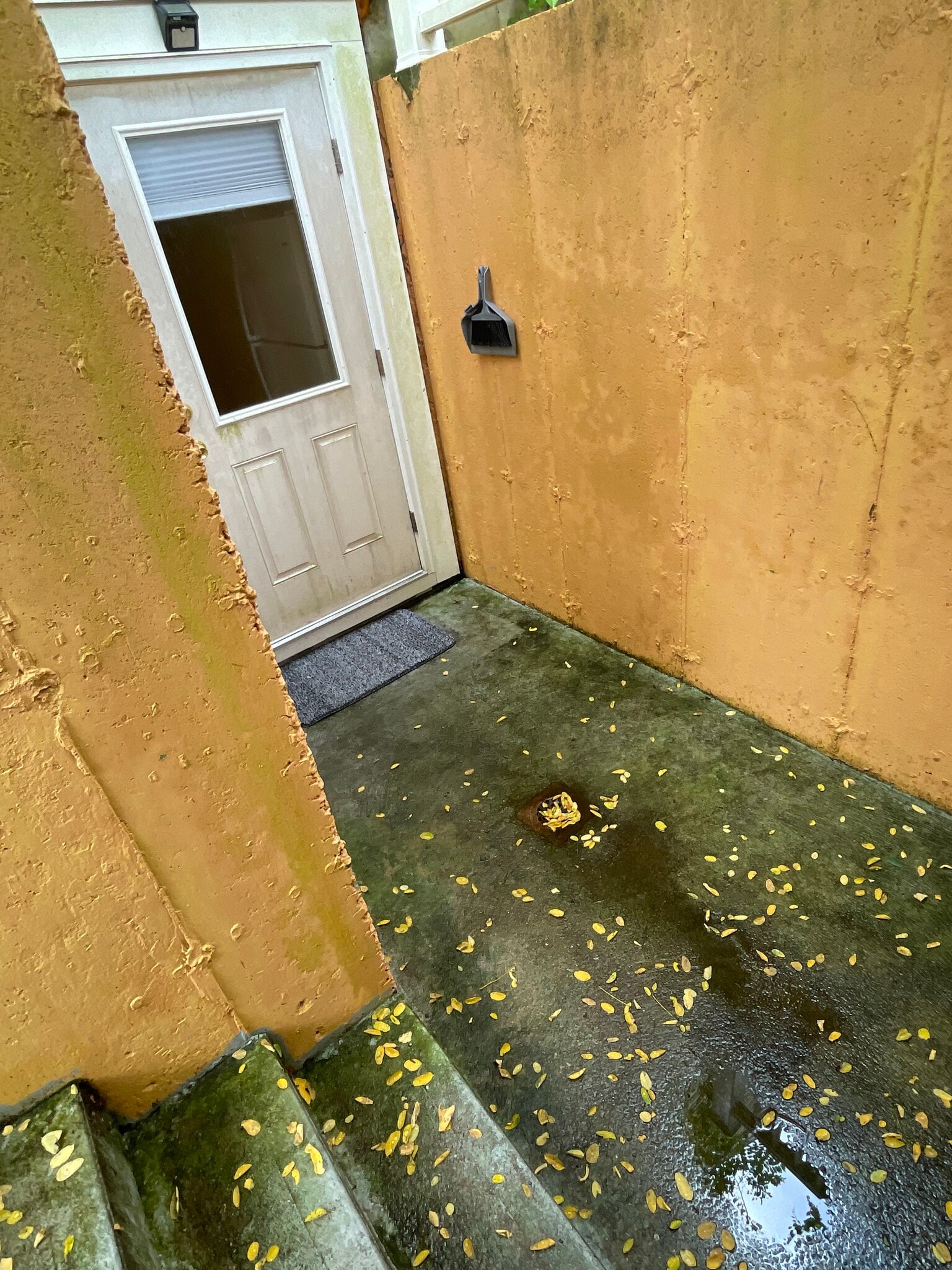 The separate entrance to the apartment (3/3). - 18 Old Neck Ct