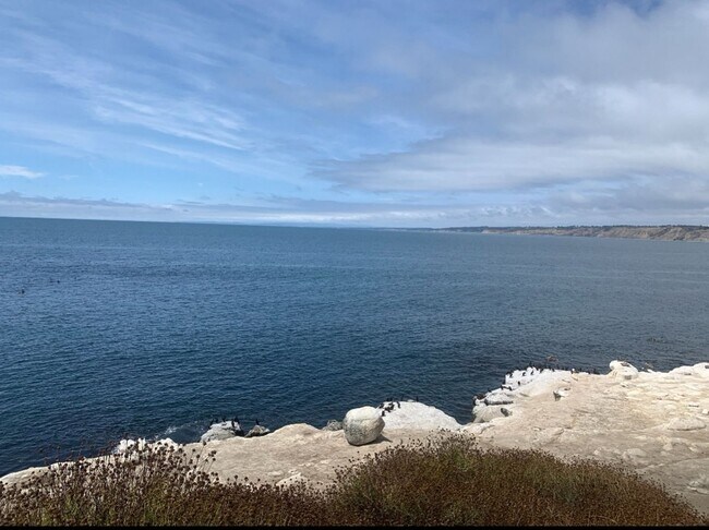 Building Photo - Beautiful La Jolla Condo – Fully Furnished...