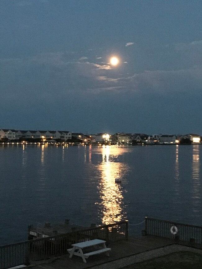 Building Photo - 46 S Bay Ave