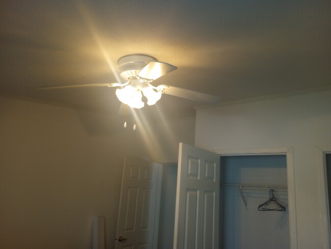 Building Photo - 255 Rockford Cir