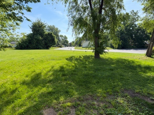 Building Photo - 172 Oak Dr