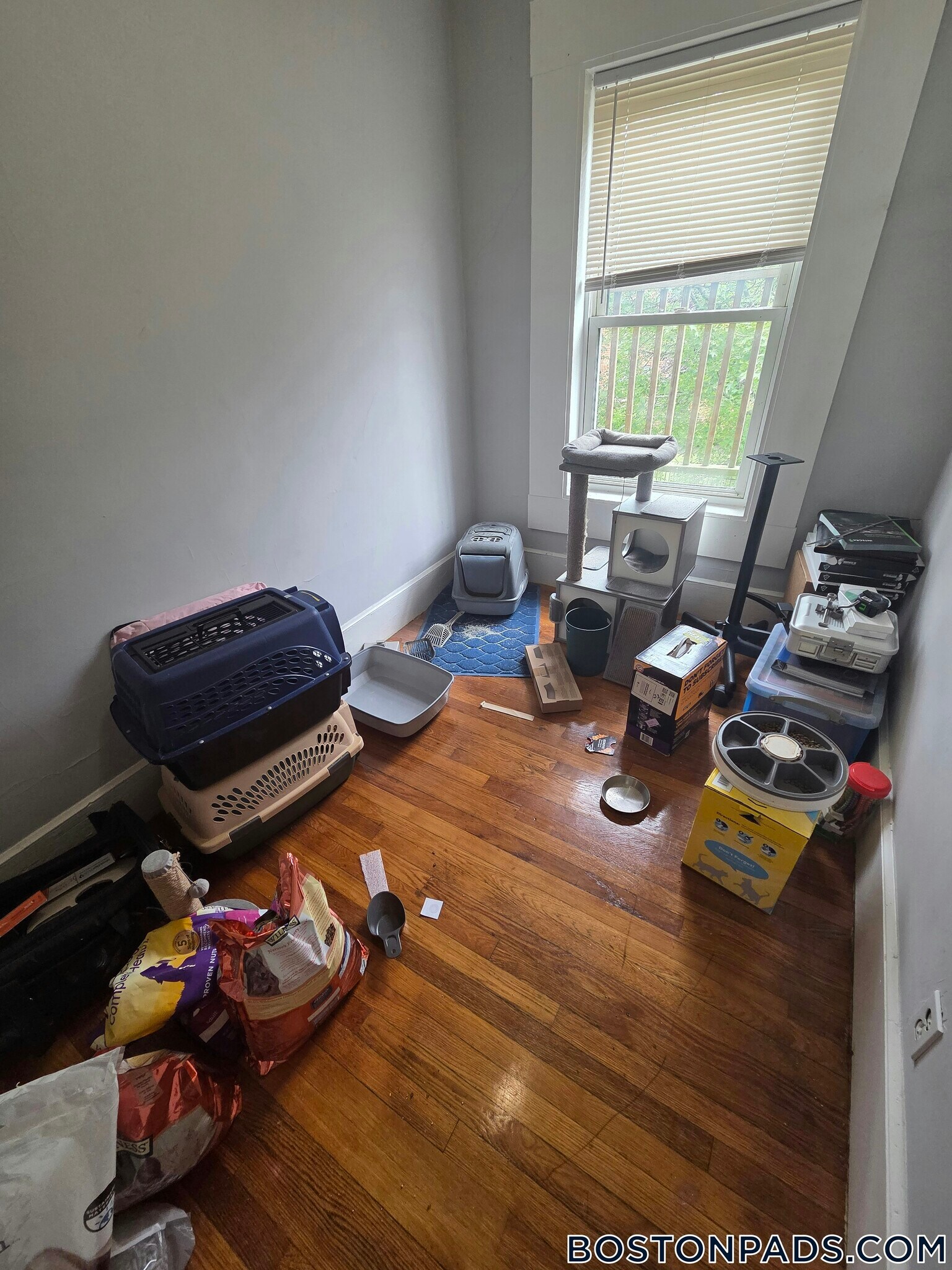 Building Photo - 11 Akron St