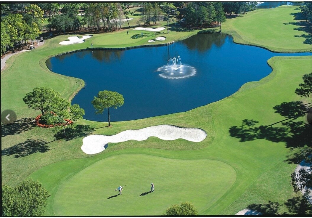 Building Photo - 36750 US Highway 19 N