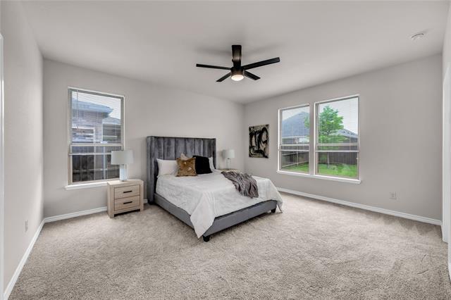 Building Photo - 3433 Alamosa River Dr